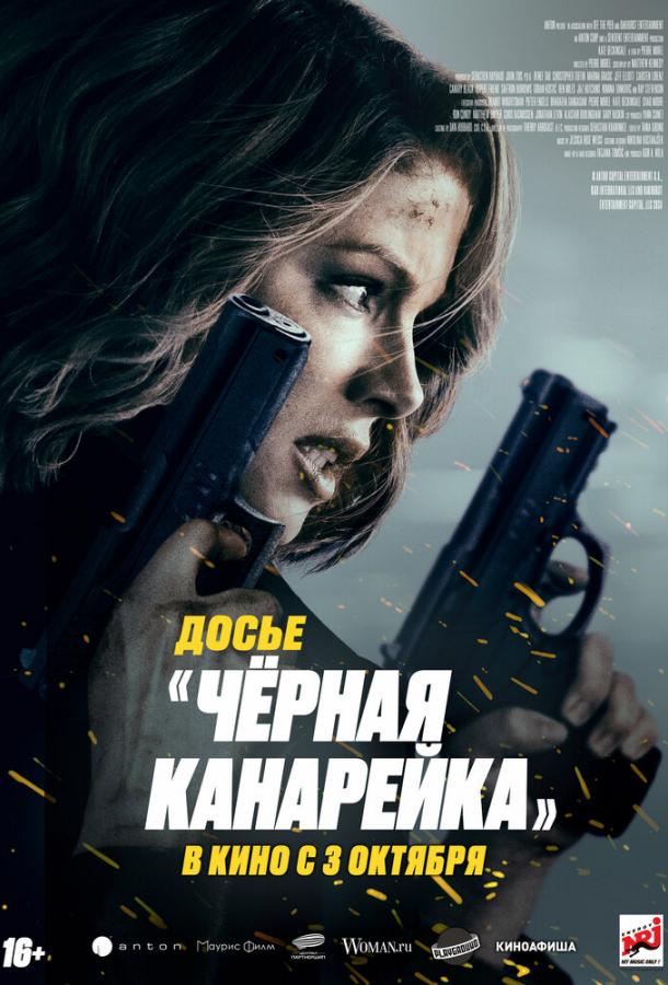 Фильм Досье «Чёрная канарейка» 2024 смотреть онлайн с Рэем Стивенсоном и Рупертом Френдом